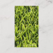 Cartes de visite de pelouse (Dos)