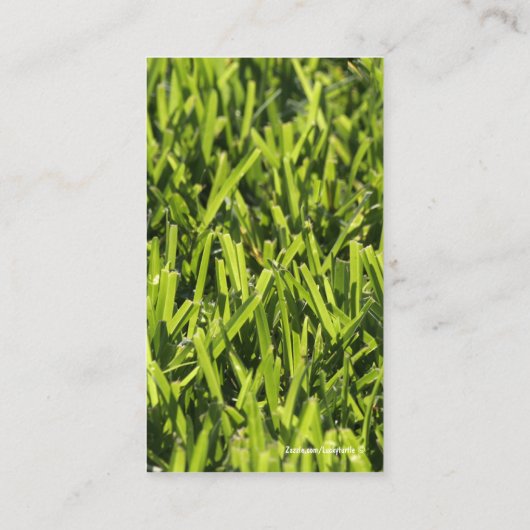 Cartes de visite de pelouse (Dos)