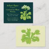Cartes de visite de pépinière de plante (Devant / Derrière)