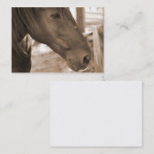 Cartes de visite de photographie de cheval (Devant / Derrière)