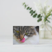 Cartes de visite de photographie de langue de chat (Debout devant)