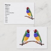 Cartes de visite de pinson de Gouldian (Devant / Derrière)
