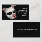 Cartes de visite de Pitbull (Devant / Derrière)