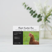 Cartes de visite de poulet de pays (Debout devant)