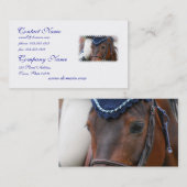 Cartes de visite de profil de cheval (Devant / Derrière)