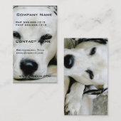 Cartes de visite de repos de Dalmate (Devant / Derrière)