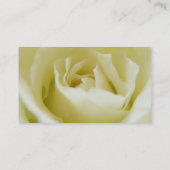 Cartes de visite de rose blanc (Dos)