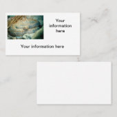 Cartes de visite de rotin (Devant / Derrière)