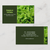 cartes de visite de salade verte (Devant / Derrière)