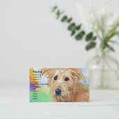 Cartes de visite de Sandy (Debout devant)