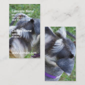 Cartes de visite de Schnauzer (Devant / Derrière)