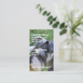 Cartes de visite de Schnauzer (Debout devant)