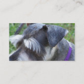 Cartes de visite de Schnauzer (Dos)