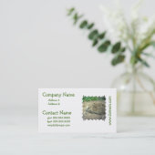 Cartes de visite de soin de hérisson (Debout devant)