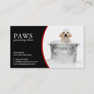 Cartes de visite de soin des animaux familiers