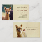 Cartes de visite de soin des animaux familiers (Devant / Derrière)