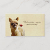 Cartes de visite de soin des animaux familiers (Dos)