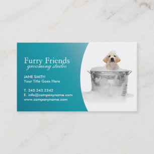 Cartes de visite de soin des animaux familiers -
