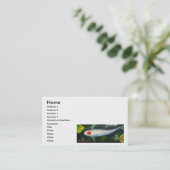 Cartes de visite de Tancho Kohaku Koi (Debout devant)