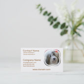 Cartes de visite de Terrier tibétain (Debout devant)