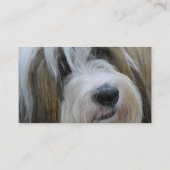 Cartes de visite de Terrier tibétain (Dos)