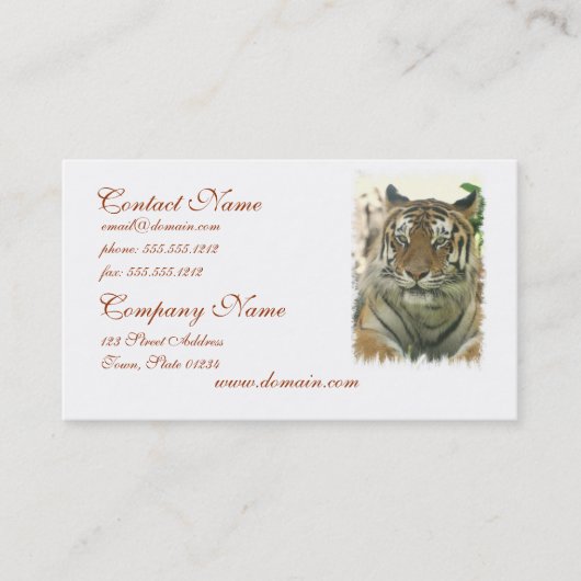 Cartes de visite de tigre de Sumatran (Devant)