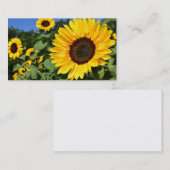 Cartes de visite de tournesol (Devant / Derrière)