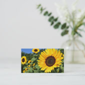 Cartes de visite de tournesol (Debout devant)