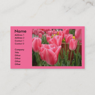 Cartes de visite de tulipes roses