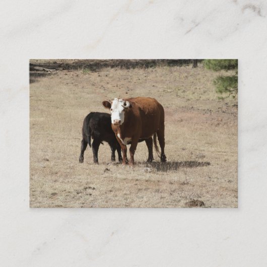 Cartes de visite de vache et de bébé (Devant)