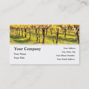 Cartes de visite de vignoble de restaurant de vin