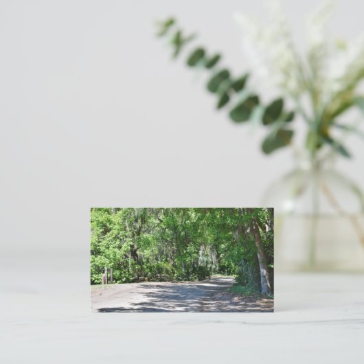 Cartes de visite de voyage (Debout devant)