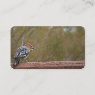 Cartes de visite de Woodpecker de l'Arizona