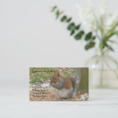 Cartes de visite d'écureuils (Debout devant)