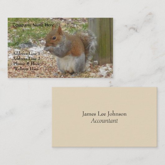 Cartes de visite d'écureuils (Devant / Derrière)