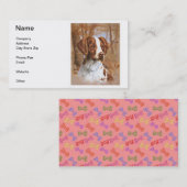 Cartes de visite d'épagneul de Bretagne (Devant / Derrière)