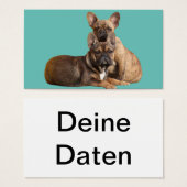 Cartes de visite des bulldogs français (Devant & derrière)