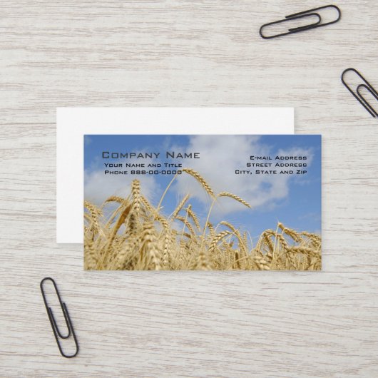 Cartes de visite des producteurs de blé (Devant/Arrière en situation)