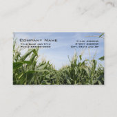 Cartes de visite des producteurs de maïs (Devant)