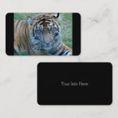 Cartes de visite d'images de Tiger (Devant / Derrière)