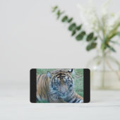 Cartes de visite d'images de Tiger (Debout devant)