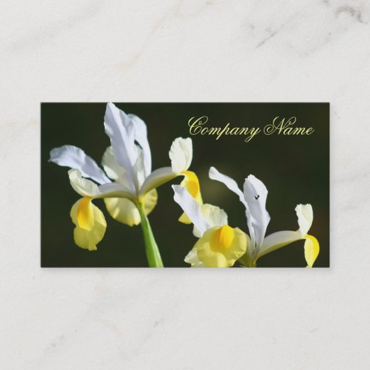 Cartes de visite d'iris (Devant)