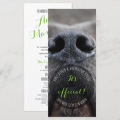 Cartes de visite Dognose (Devant / Derrière)