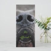 Cartes de visite Dognose (Debout devant)