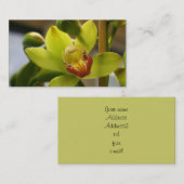 Cartes de visite d'orchidée (Devant / Derrière)