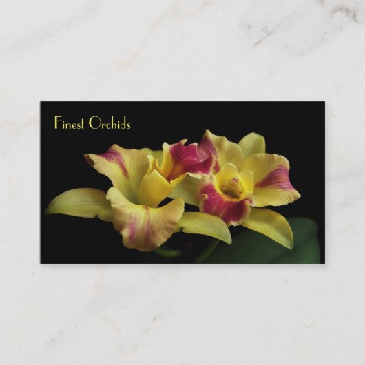 Cartes de visite d'orchidée de Cattleya (Devant)