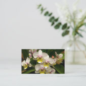 Cartes de visite d'orchidées (Debout devant)