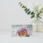 Cartes de visite d'Orchidées blanches (Debout devant)