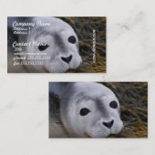 Cartes de visite doux de bébé phoque (Devant / Derrière)