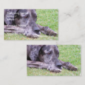 Cartes de visite doux de great dane (Devant / Derrière)